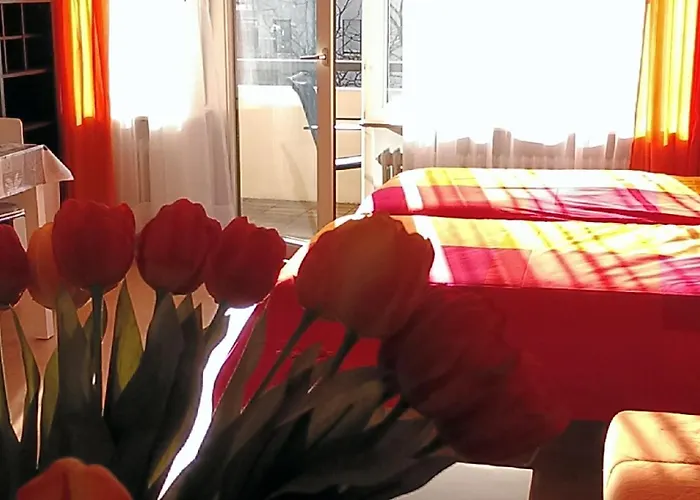 Seepark Falk Nr -3- Freiburg im Breisgau